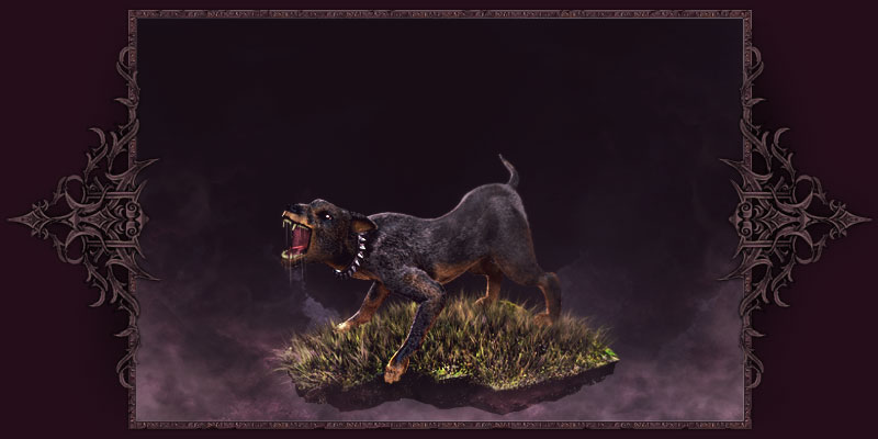 Wütiger Hund Wütiger Hund
