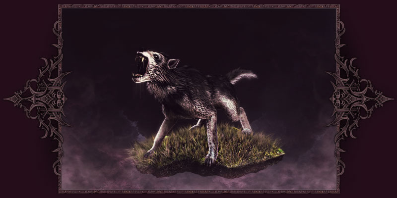 Wolfshund Wolfshund