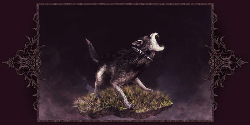Tollwütiger Wolfshund Tollwütiger Wolfshund