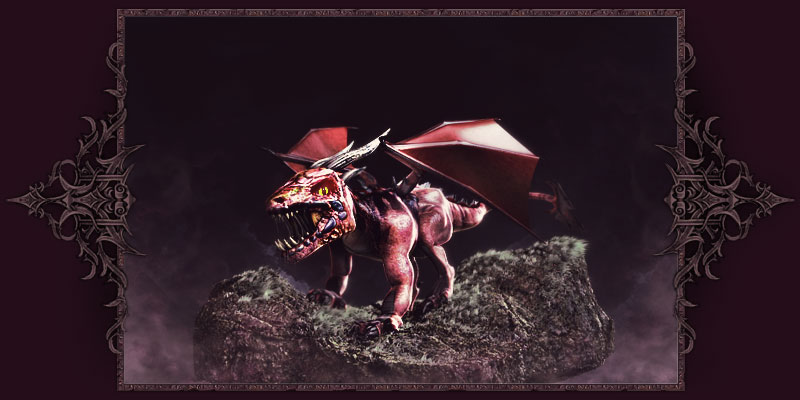 Junger roter Drache Junger roter Drache